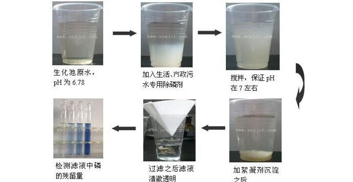 污水除磷實驗