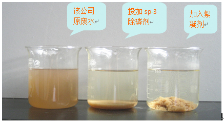 生活污水總磷超標(biāo)的實驗果圖